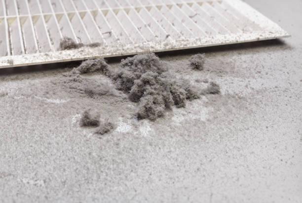 Best HVAC Maintenance and Cleaning  in Newberry, MI