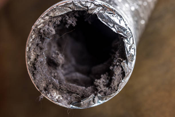 Best Air Duct Cleaning Near Me  in Newberry, MI