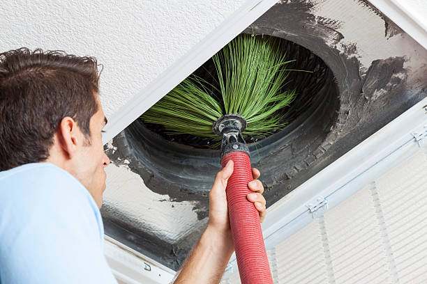 Best Residential Air Duct Cleaning  in Newberry, MI