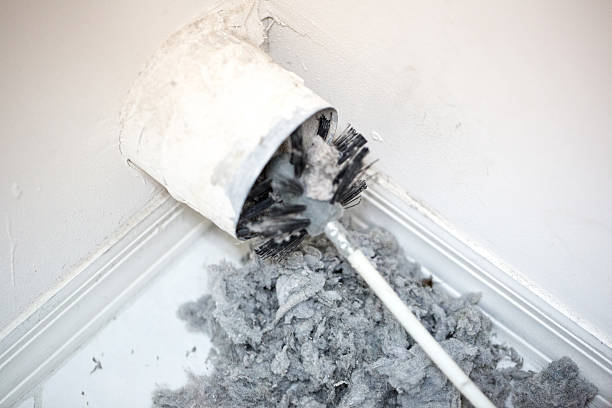 Best Ductwork Cleaning Services  in Newberry, MI